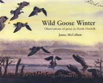 Wild Goose Winter