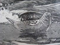 Etching detail from Limited Edition cover