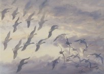Painting from 'Wild Skeins and Winter Skies'