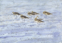 Curlews in frost – ice crystals formed in paint