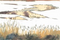 Waterfowl patterns in snow covered landscape