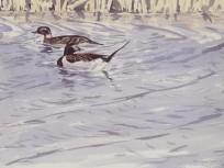 Painting from 'Arctic Flight'