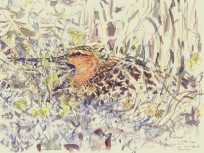 Painting from 'Arctic Flight'