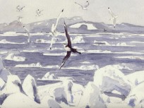 Painting from 'Arctic Flight'