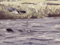 Painting from 'Arctic Flight'