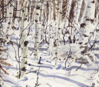 Painting from 'Arctic Flight'