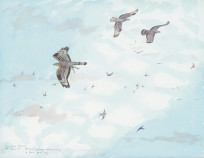 Honey Buzzards No.4
