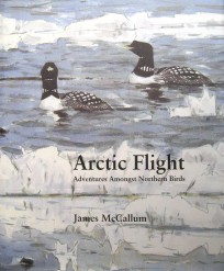Arctic Flight