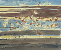 Arnold's Marsh - late evening glow
