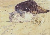 A painting from ‘The Long, Wild Shore’