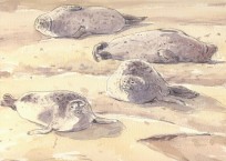 A painting from ‘The Long, Wild Shore’