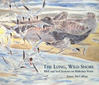 The Long, Wild Shore