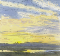 Pinkfeet arriving en masse, Cley