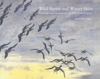 Wild Skeins and Winter Skies