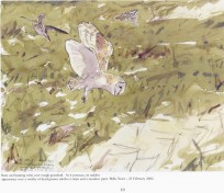 Sample page: 'North Norfolk Summer Sketchbook'