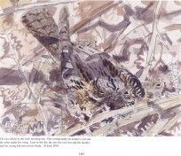 Sample page: 'North Norfolk Summer Sketchbook'