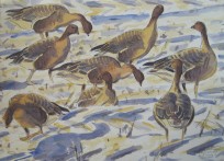 Painting from 'Wild Skeins and Winter Skies'