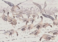 Painting from 'Wild Skeins and Winter Skies'