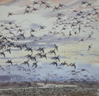 Painting from 'Wild Skeins and Winter Skies'